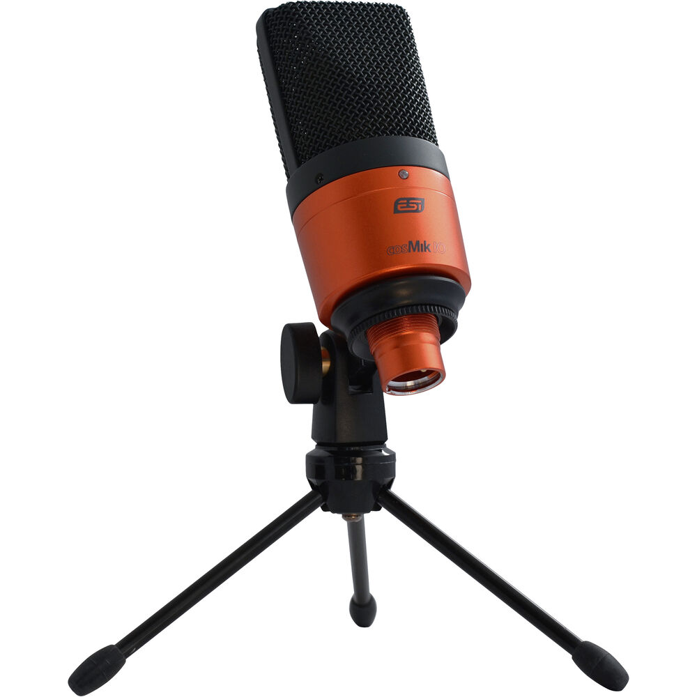 ESI cosMik 10 Professional Studio Condenser Microphone