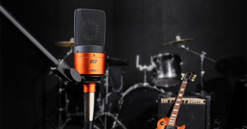 ESI cosMik 10 Professional Studio Condenser Microphone gallery 2