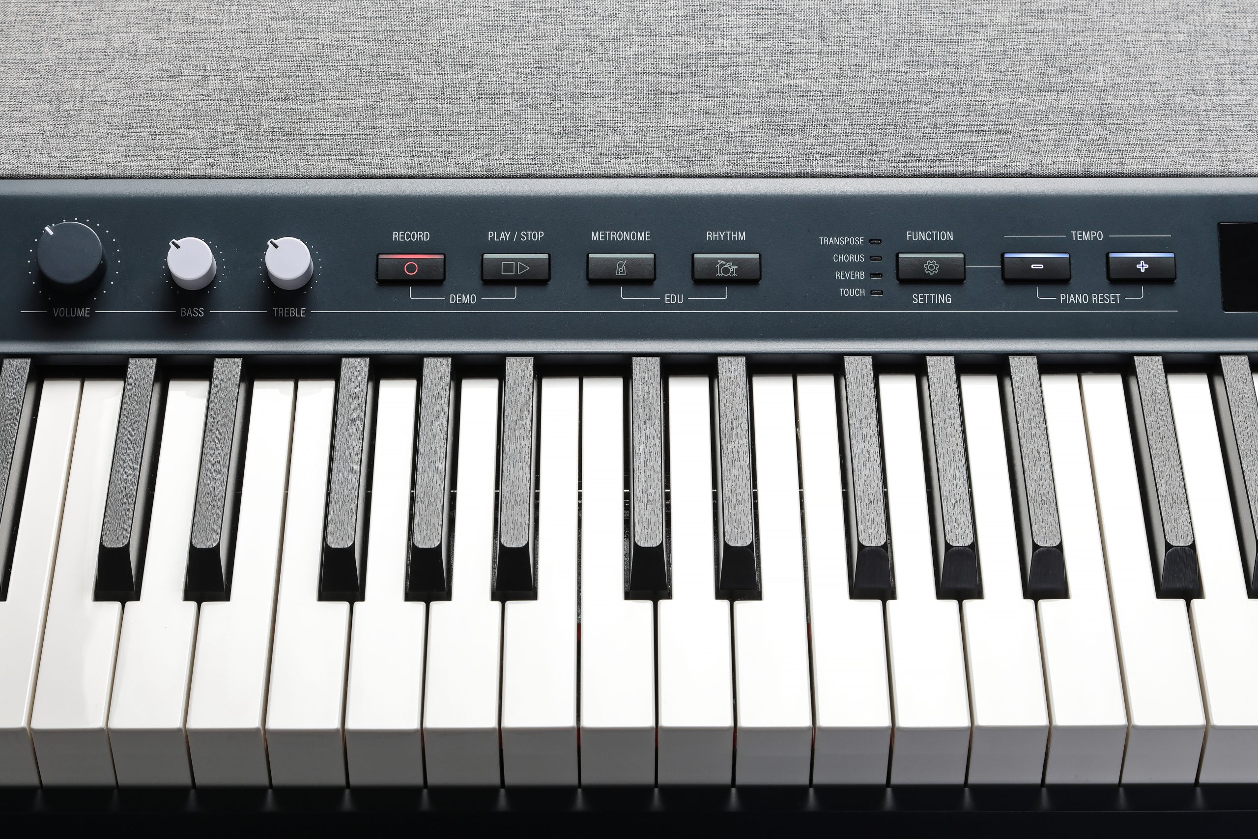 Kurzweil KaP1 Digital Piano (K-Blue) gallery 5