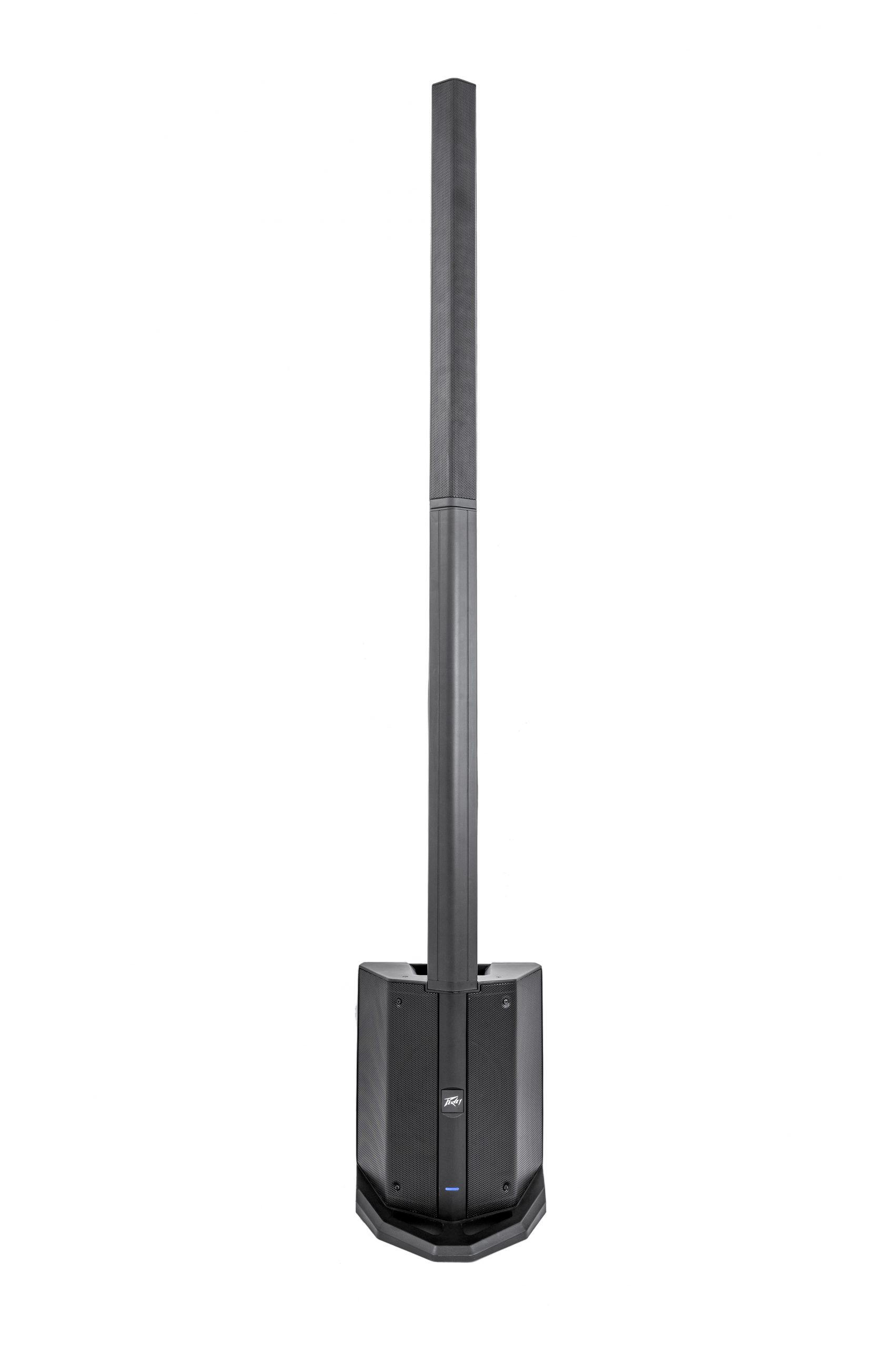 Peavey LN 1063 Column Array
