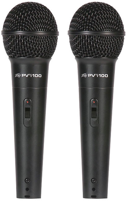 Peavey PVi 100 (2 Pack)