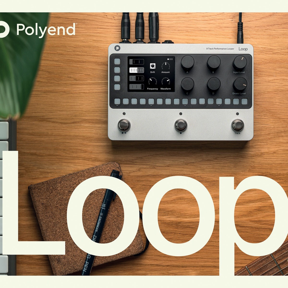 Polyend Loop Combines Live Looping and Rhythmic Sequencing featured image